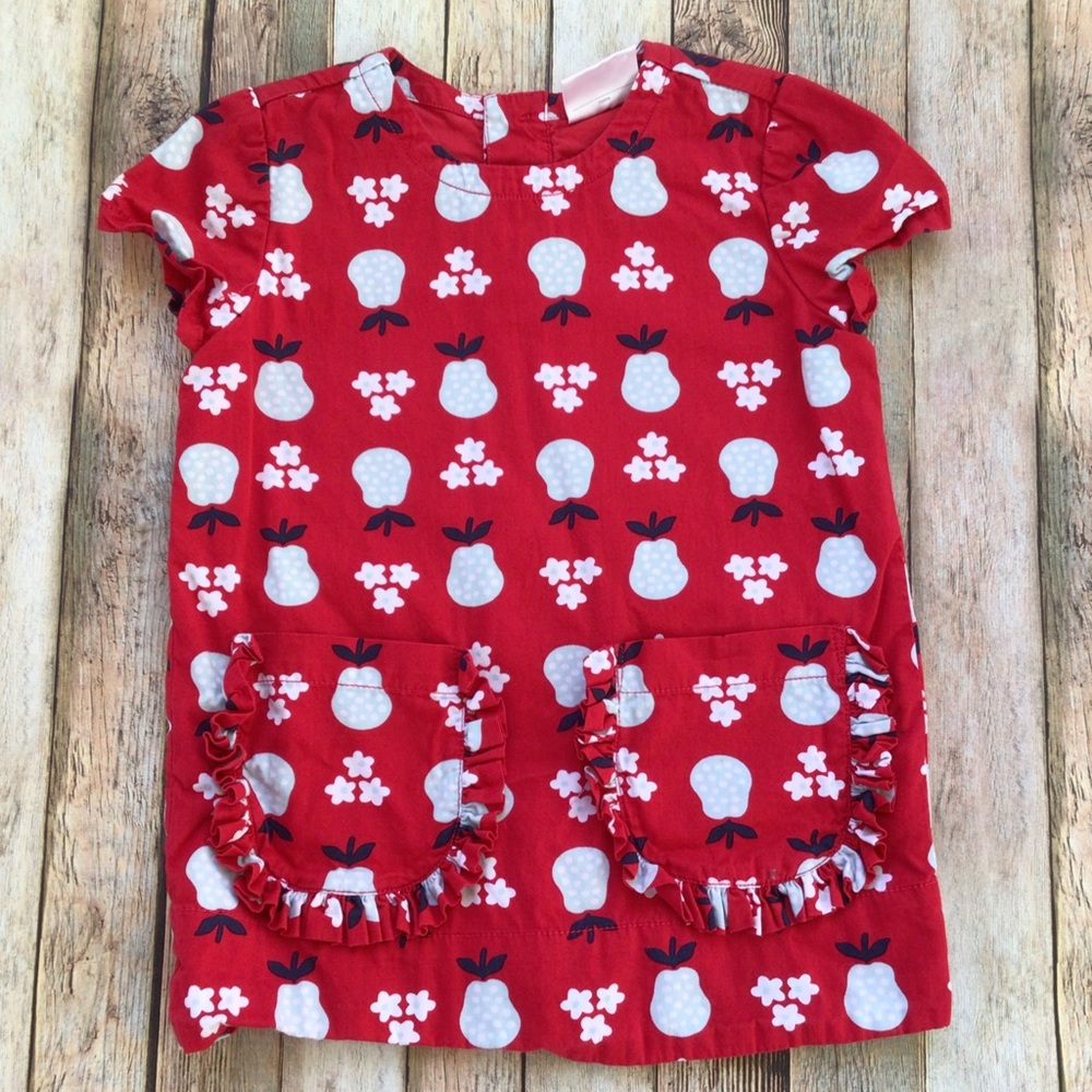 Hanna Andersson Strawberry Pocket Dress